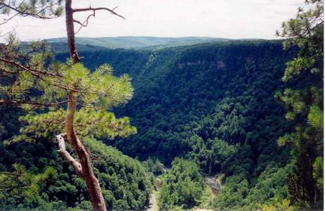 grandcanyon4r2.jpg