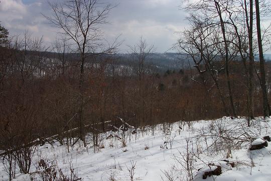 grsf-n8.JPG